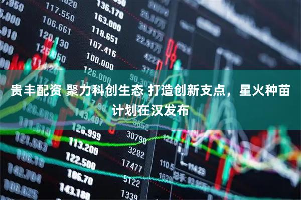 贵丰配资 聚力科创生态 打造创新支点，星火种苗计划在汉发布